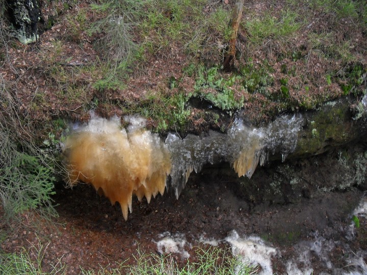 img00020.jpg