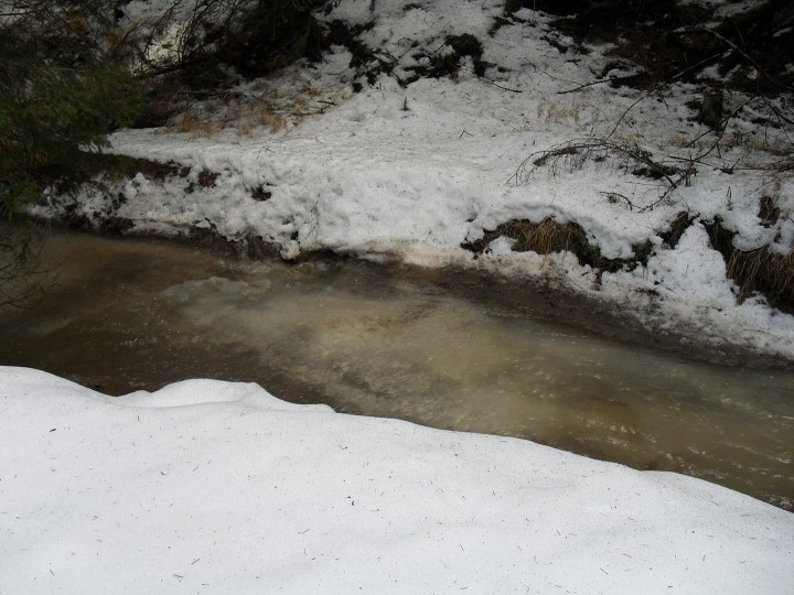 img00022.jpg