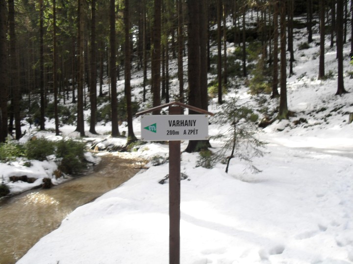 img00028.jpg