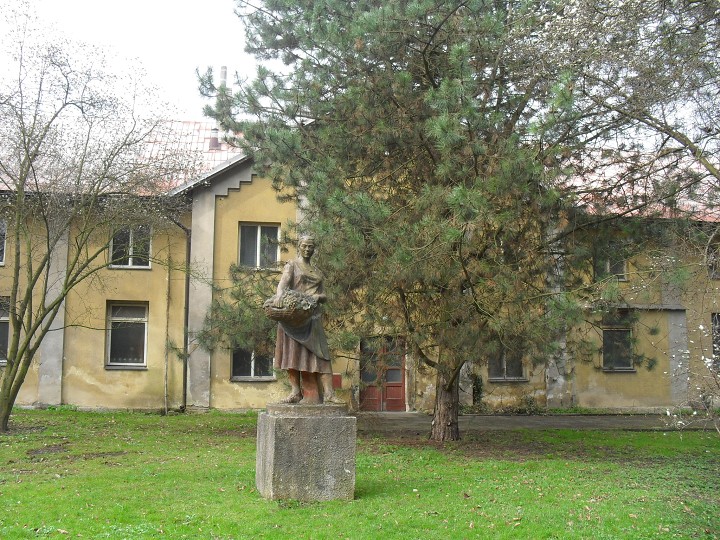 img00003.jpg