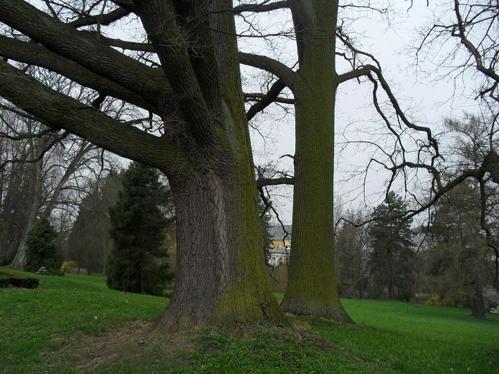 img00009.jpg