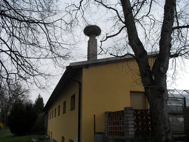 img00011.jpg