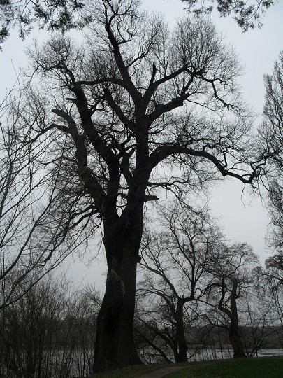 img00014.jpg
