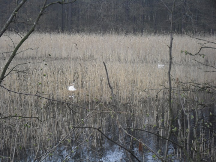 img00021.jpg