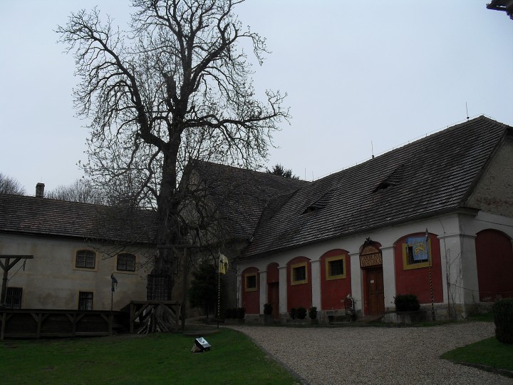 img00032.jpg