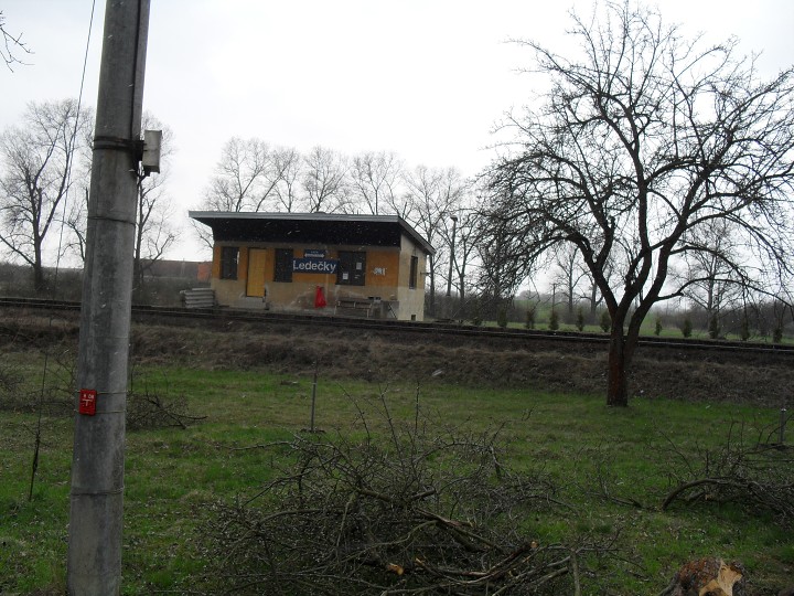 img00061.jpg