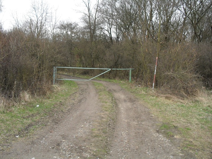 img00063.jpg