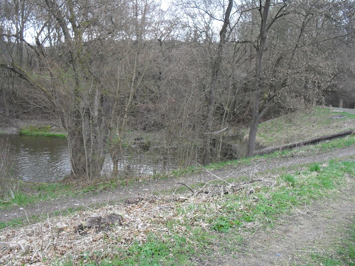img00065.jpg