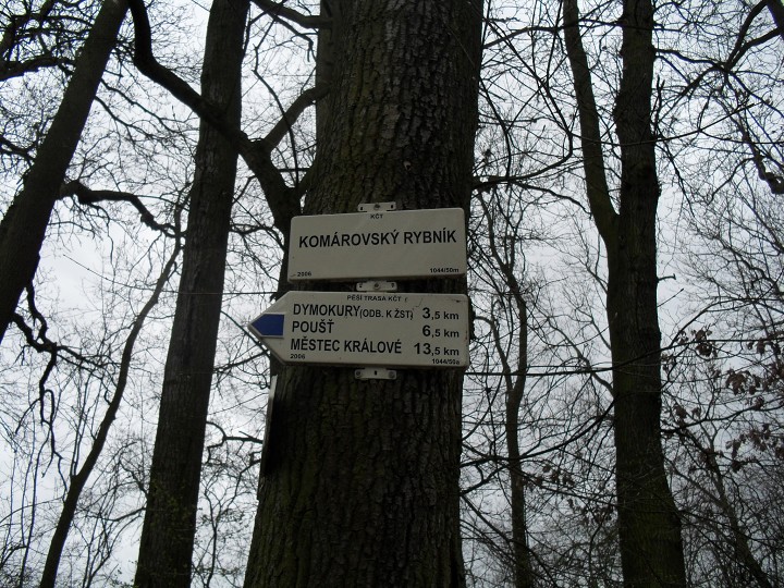 img00068.jpg