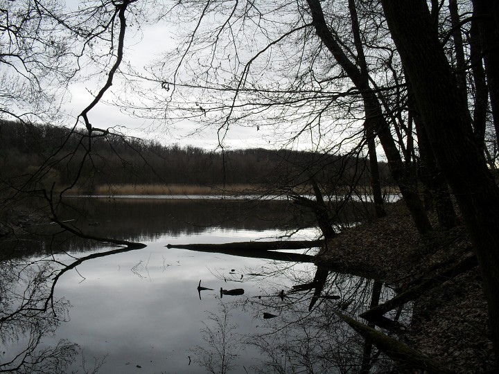 img00069.jpg
