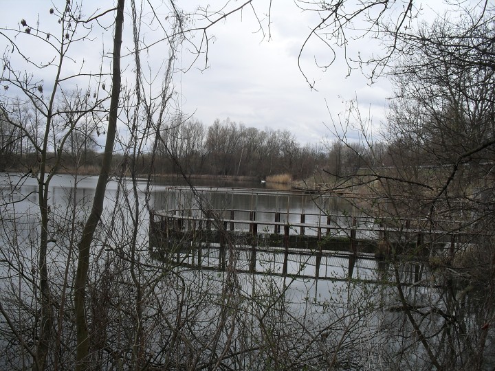 img00070.jpg