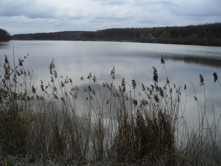 img00073.jpg