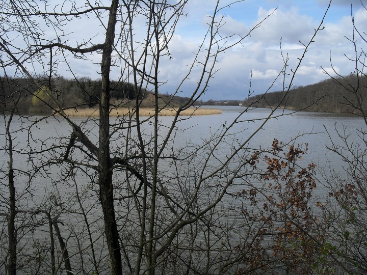 img00080.jpg