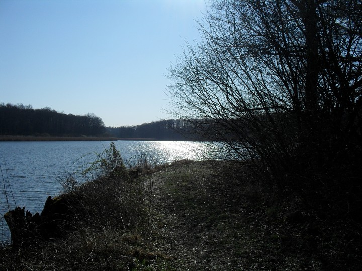 img00150.jpg