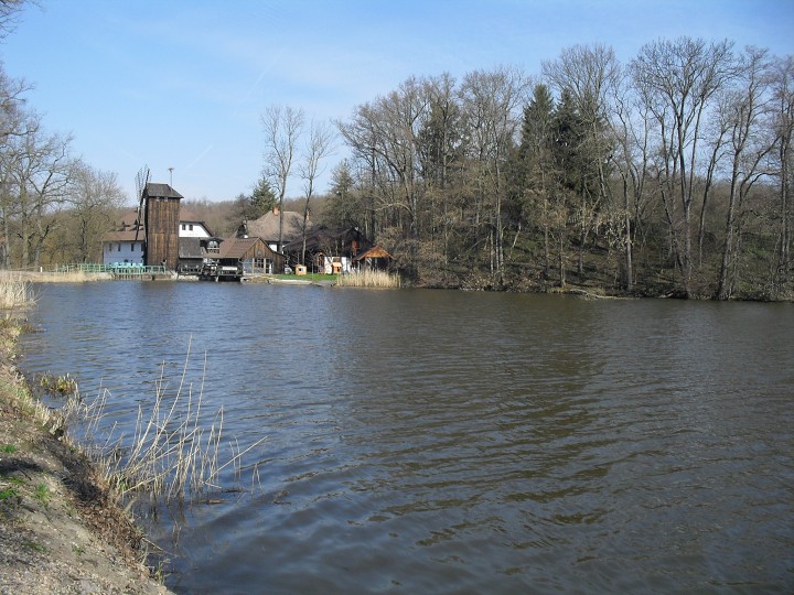 img00151.jpg