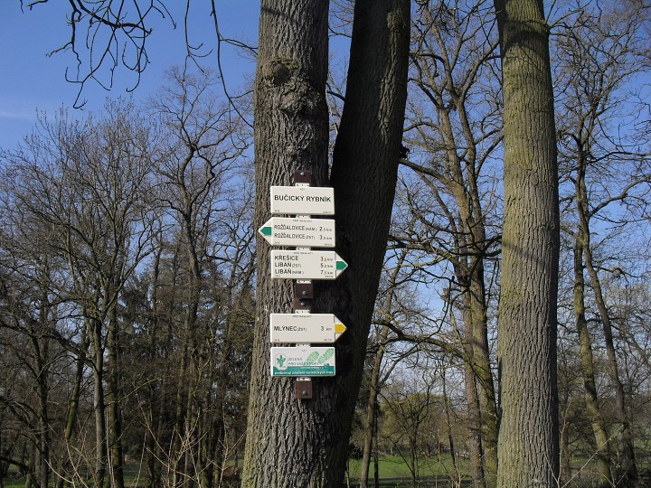 img00152.jpg
