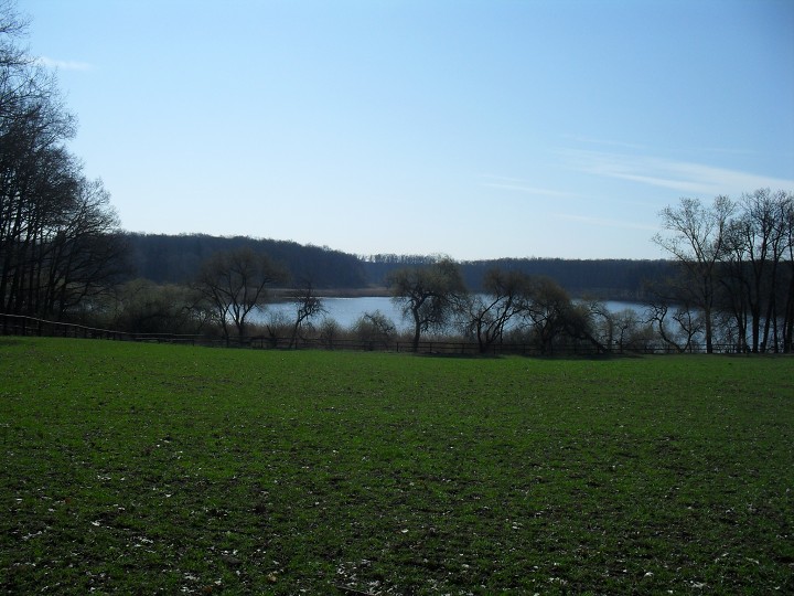 img00158.jpg