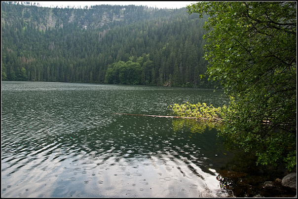 img00011.jpg