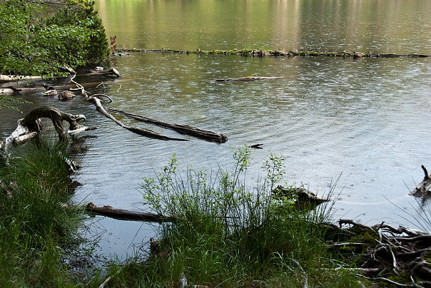 img00013.jpg