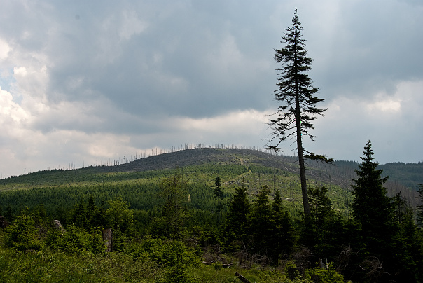 img00020.jpg