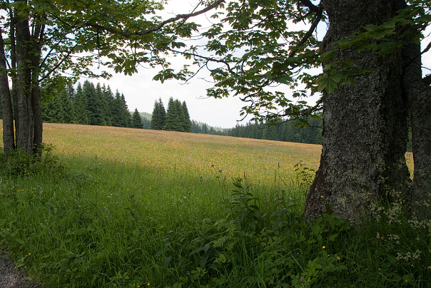 img00028.jpg