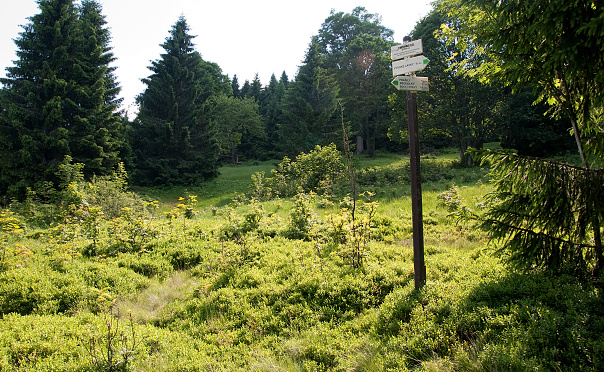 img00040.jpg