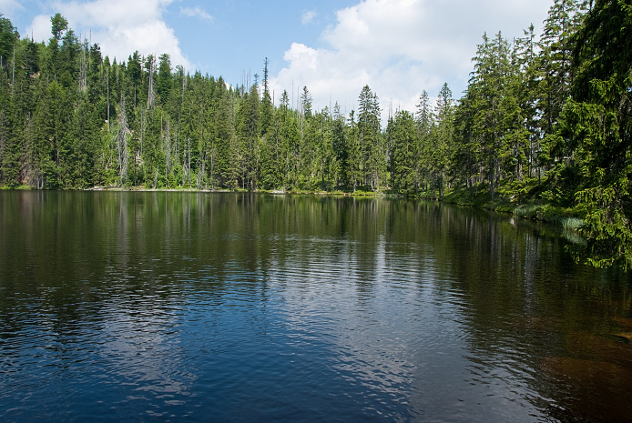 img00048.jpg