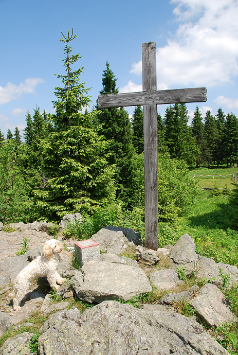 img00055.jpg