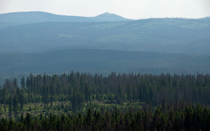 img00058.jpg
