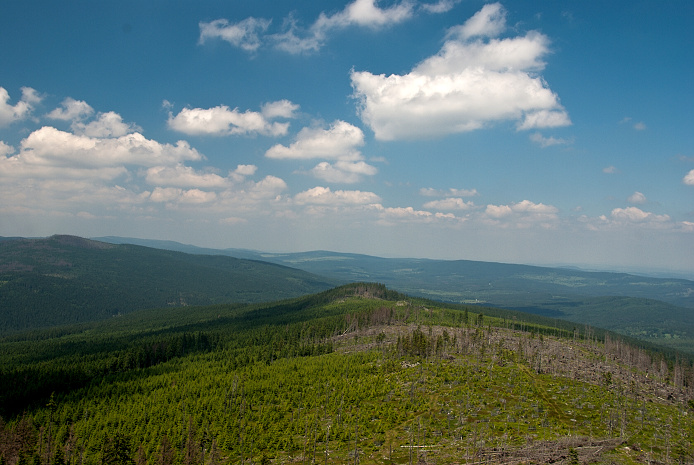 img00060.jpg