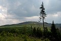 Šumava  -u Polomu 
